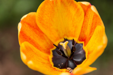 Similar image 21684884