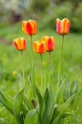 Similar image 21684885