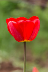 Similar image 21684886