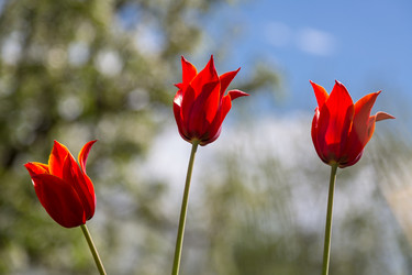 Similar image 21684887