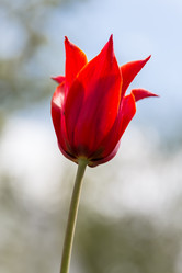 Similar image 21684888