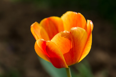 Similar image 21684889