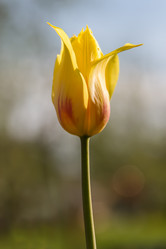 Similar image 21684890