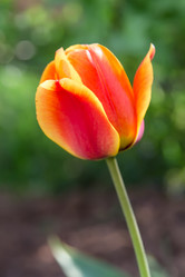 Similar image 21684891