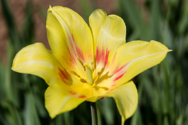 Similar image 21684892