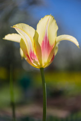 Similar image 21684893