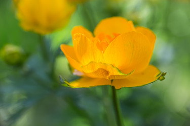 Similar image 21684895