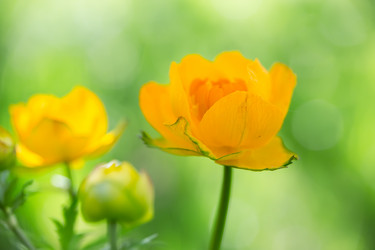 Similar image 21684896