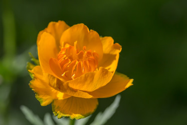 Similar image 21684897