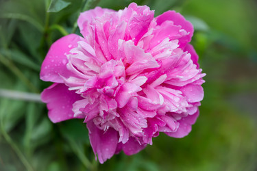 Similar image 21684898