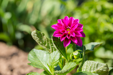 Similar image 21684900