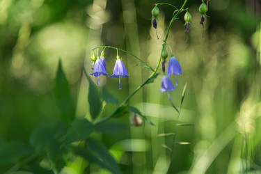 Similar image 21684901