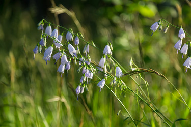 Similar image 21684902