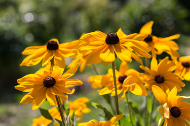 Similar image 21684903