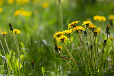 Similar image 21684904