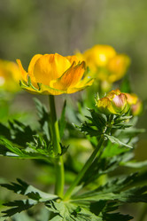 Similar image 21684905