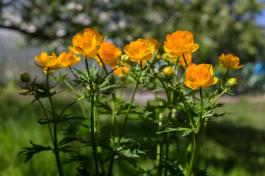 Similar image 21684906