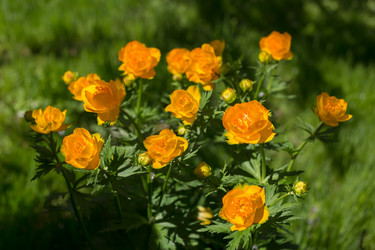 Similar image 21684907