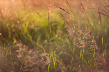 Similar image 21684911