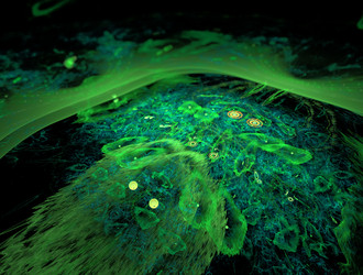 Similar image 21685726