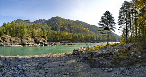 Similar image 21685037