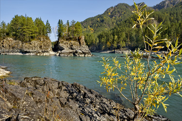 Similar image 21685038