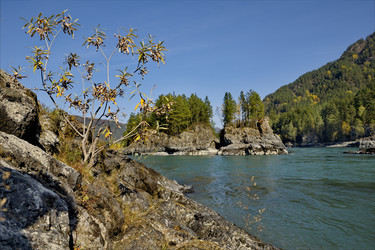 Similar image 21685040