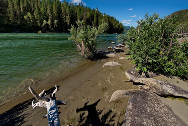 Similar image 21685050