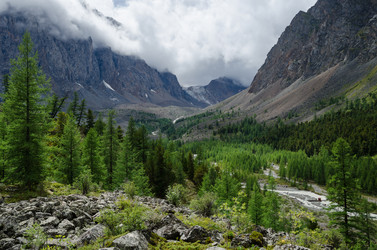 Similar image 21685079