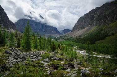 Similar image 21685080