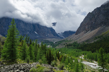 Similar image 21685081