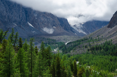 Similar image 21685082