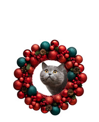 Similar image 21685085