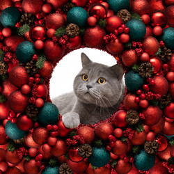 Similar image 21685086