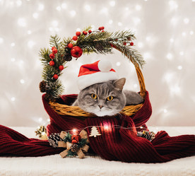 Similar image 21685089