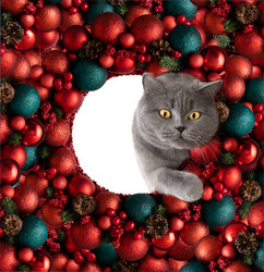 Similar image 21685090