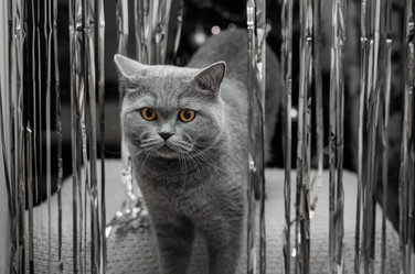 Similar image 21685093