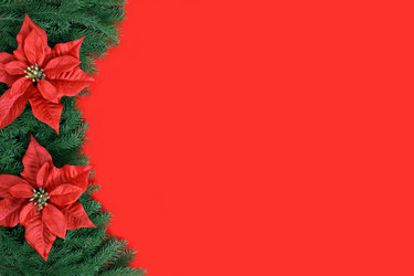 Similar image 21685098