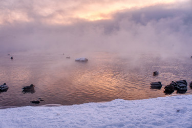 Similar image 21685115