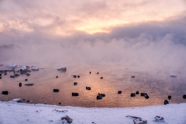 Similar image 21685125