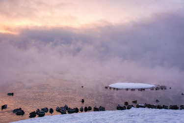 Similar image 21685178