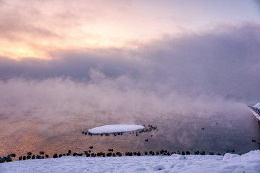 Similar image 21685181