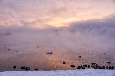 Similar image 21685182