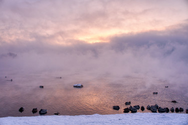 Similar image 21685184