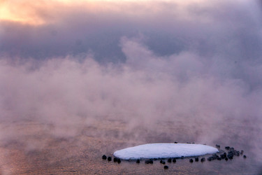 Similar image 21685185