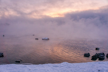 Similar image 21685186