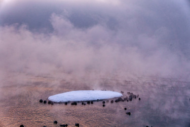 Similar image 21685187