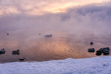 Similar image 21685188