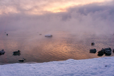 Similar image 21685190