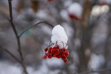 Similar image 21685447